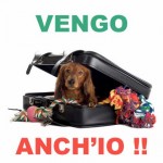 viaggiare con il cane Viaggiare con il cane: più facile di quello che sembra!