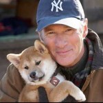 La razza Akita Inu è Hachiko, il cane di Richard Gere