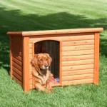 cuccia cane Accessori per il cane: la cuccia è indispensabile!