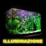 acquario illuminazione acquario illuminazione