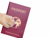 Passaporto per animali domestici