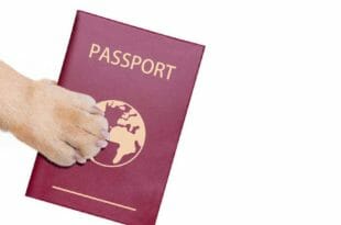 Passaporto per animali domestici