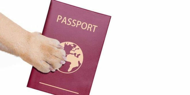 Passaporto per animali domestici